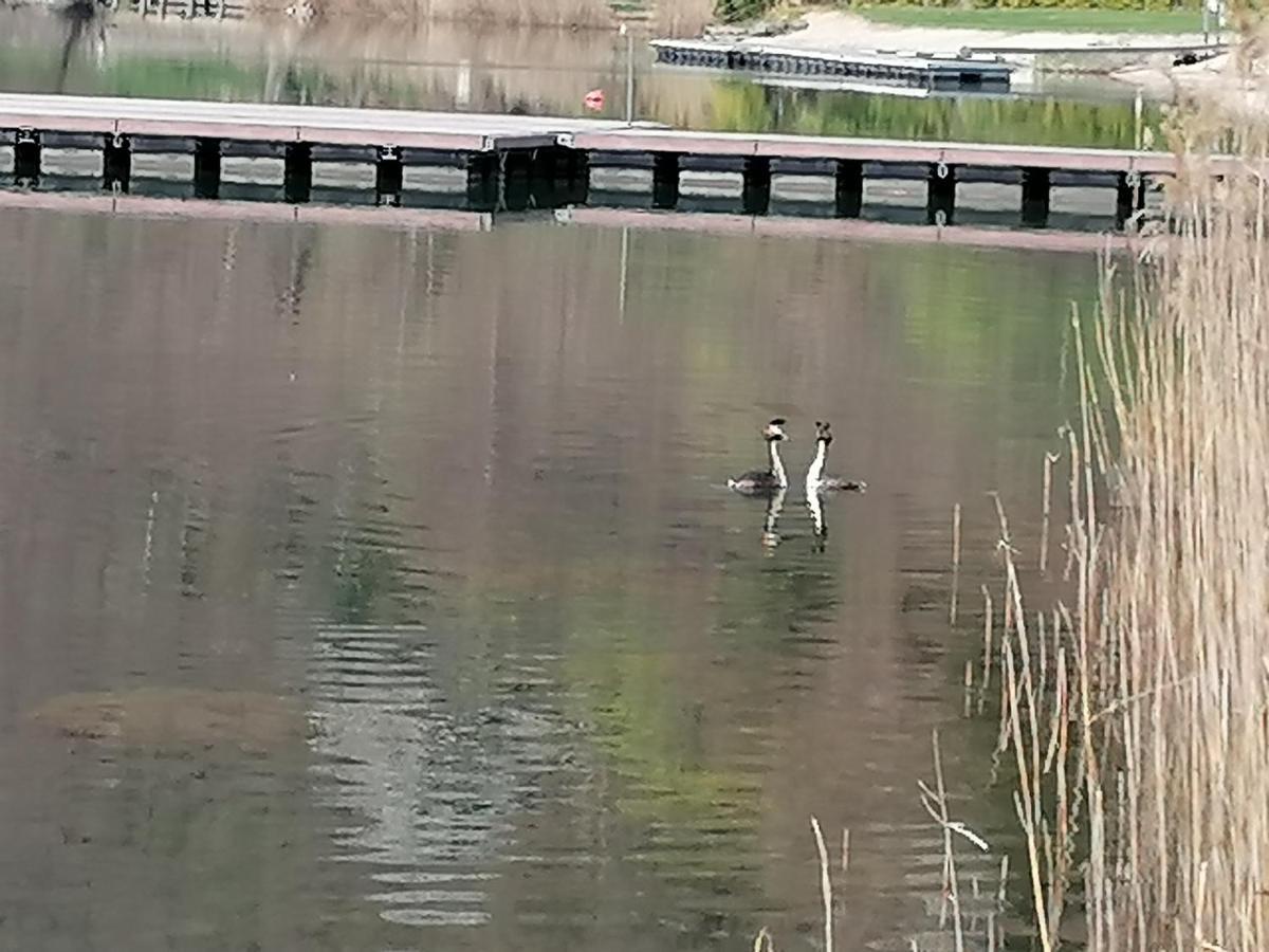 Ca' Dei Cigni Apartment Calceranica al Lago Exterior foto