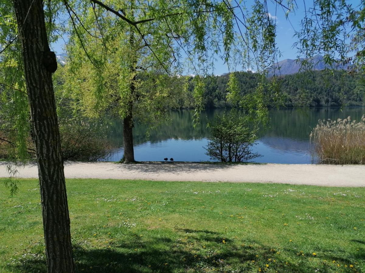 Ca' Dei Cigni Apartment Calceranica al Lago Exterior foto