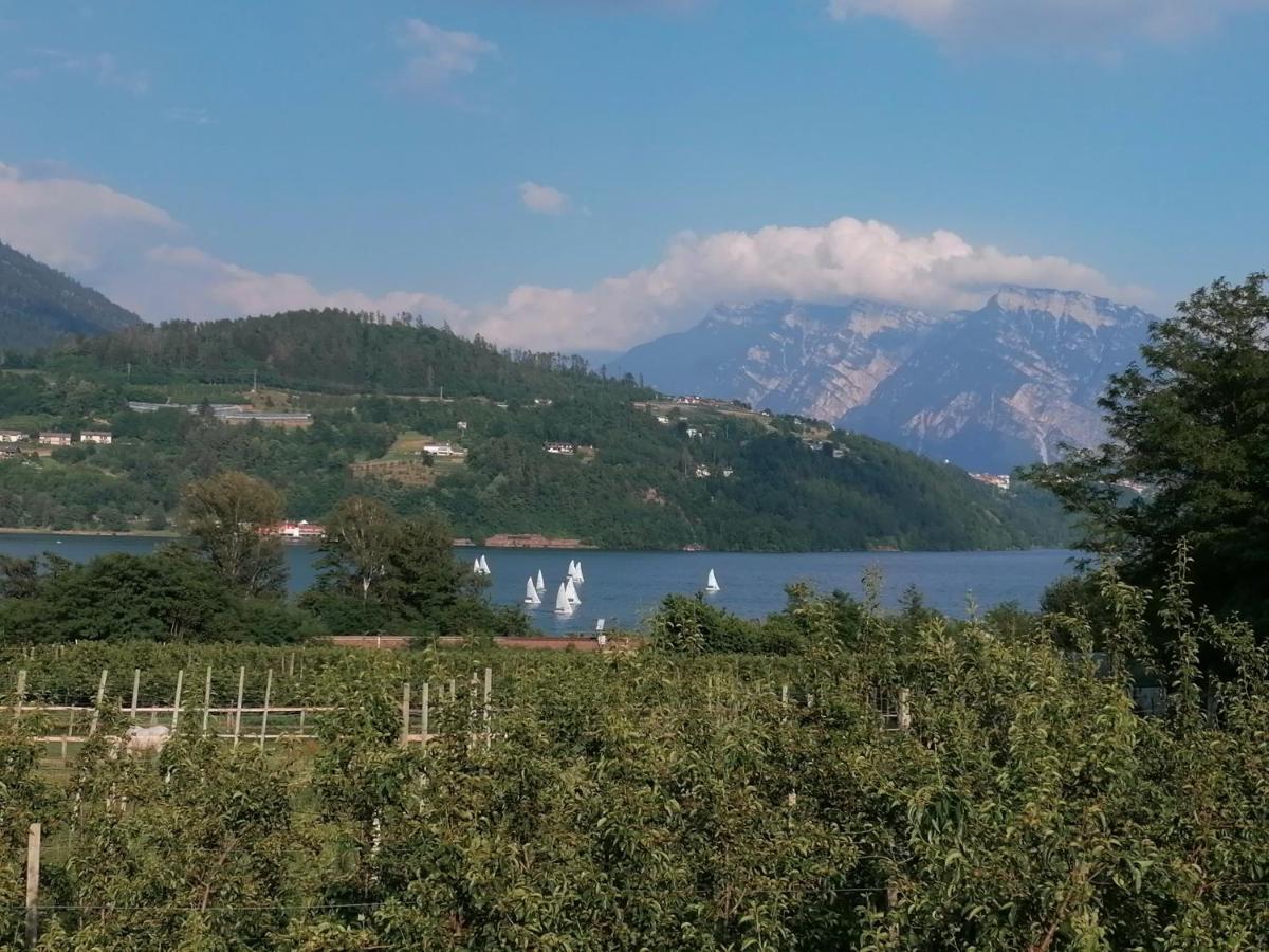 Ca' Dei Cigni Apartment Calceranica al Lago Exterior foto